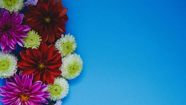 首要步骤 首要步骤