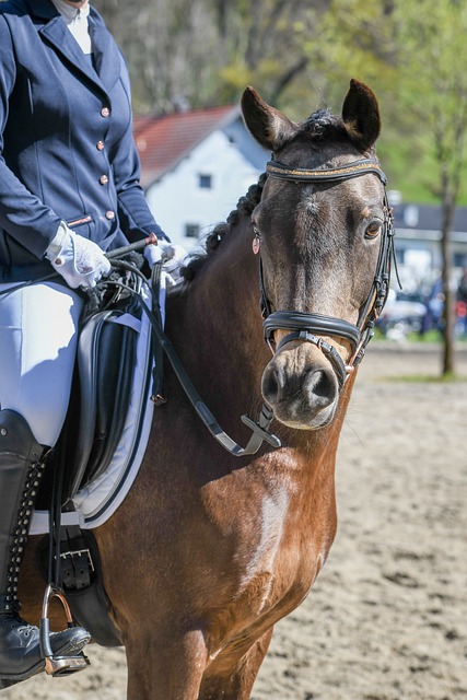 在赛事中大 在赛事中大