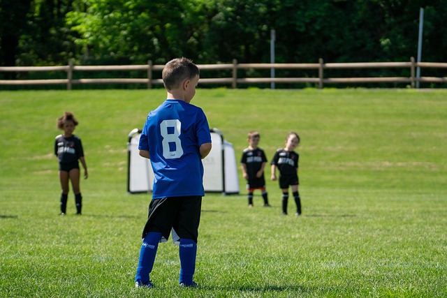 他们的言论 他们的言论