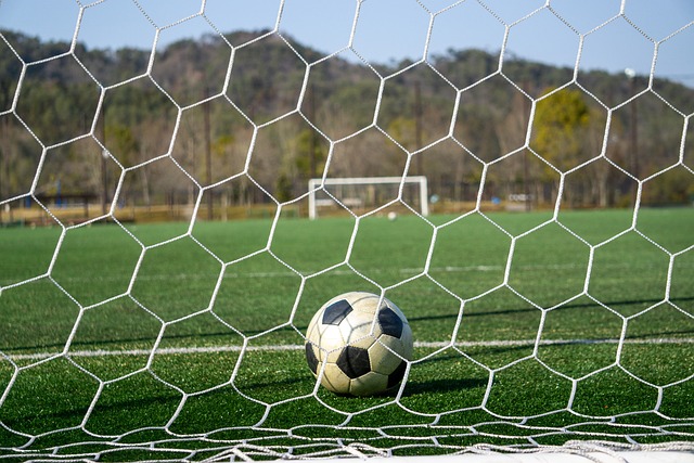 流变化的 流变化的