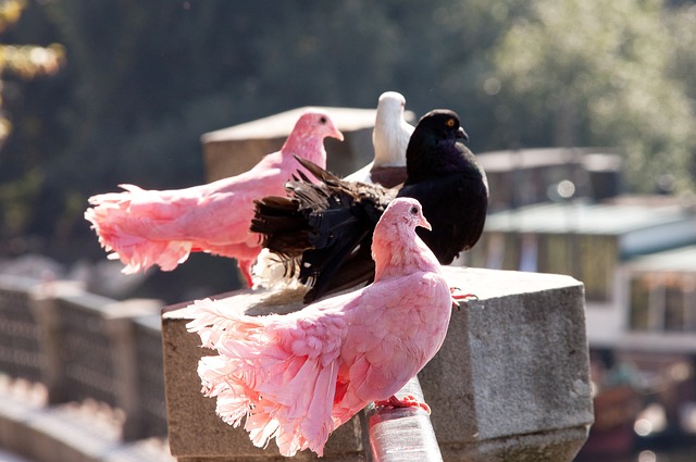 带来精彩的 带来精彩的