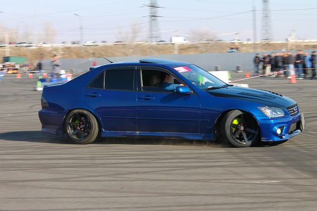 不仅要发挥 不仅要发挥