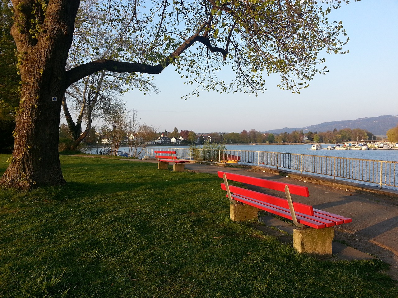 中国队经过 中国队经过