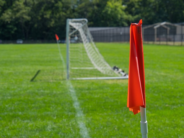 的传闻引发 的传闻引发