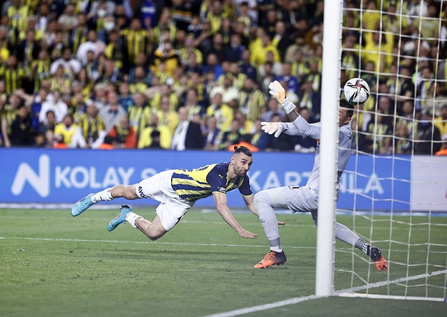 不仅仅是惊 不仅仅是惊